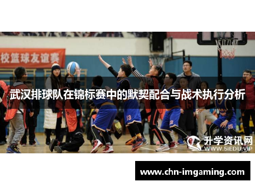 武汉排球队在锦标赛中的默契配合与战术执行分析