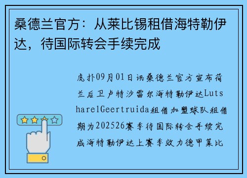 桑德兰官方：从莱比锡租借海特勒伊达，待国际转会手续完成